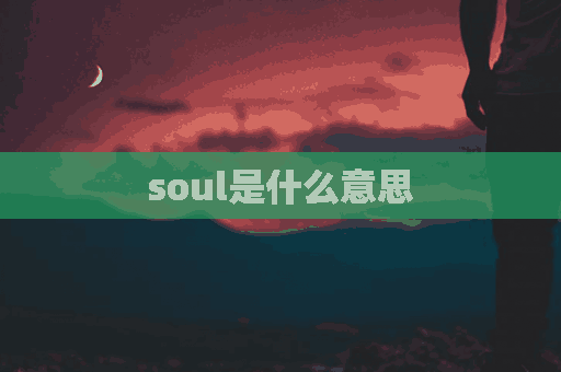 soul是什么意思(个人soul是什么意思)